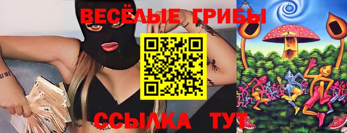 Галлюциногенные грибы Cubensis Унеча